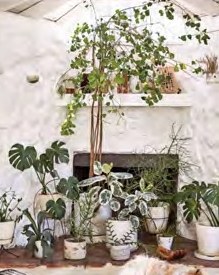 Wohnecke mit Matisse-Postern und Monstera