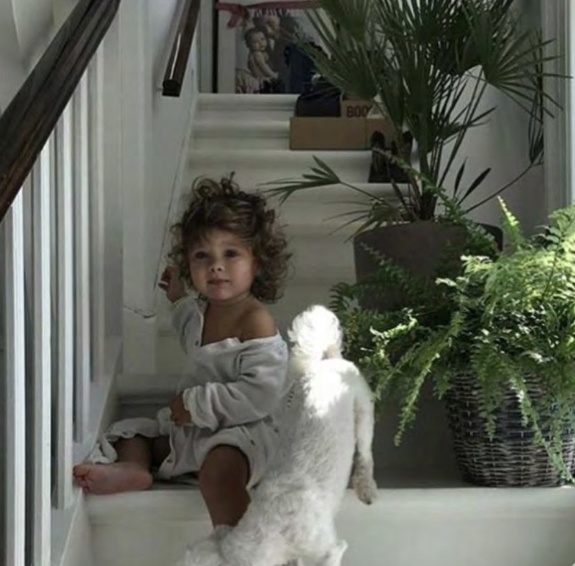 Kind mit Hund auf der Treppe bei Pflanzen