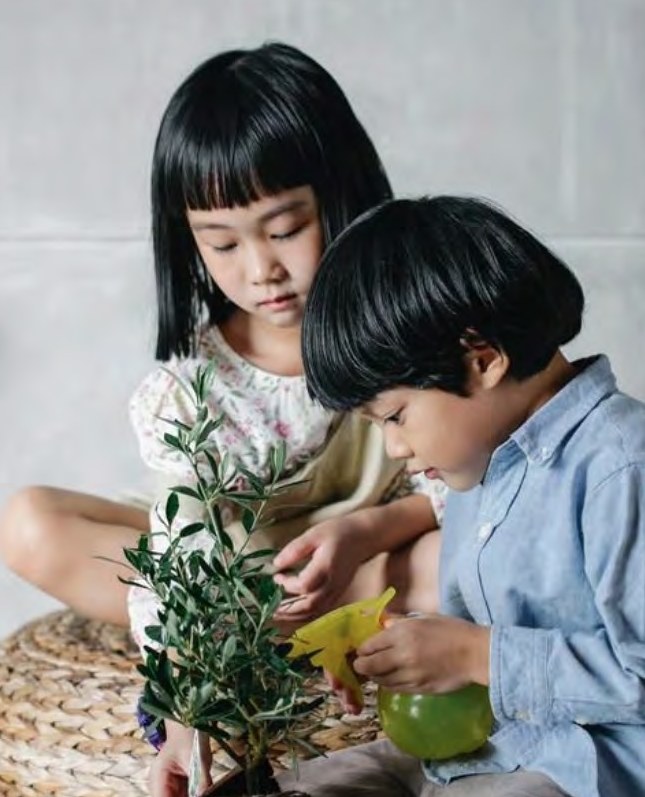 Zwei Kinder gießen gemeinsam einen Olivenbaum